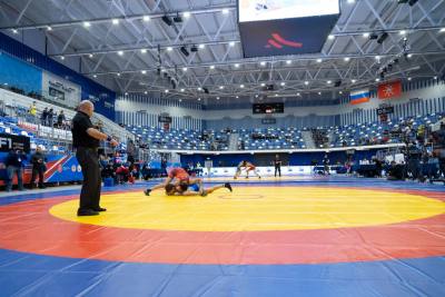 Александр Карелин: В Туле много спортивных арен, но олимпийские медали сразу не появятся