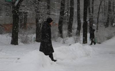 Последние выходные года в Тульской области будут снежными и пасмурными