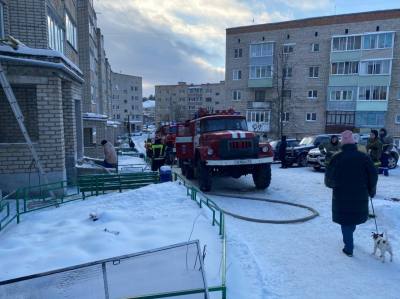 
                                            В Суворове пожарные спасли из горящего дома двух детей
                                    
