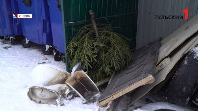 
                                            15 января в Туле заработают площадки по утилизации новогодних ёлок
                                    