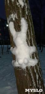 Десантник, терьер и огромный гном: Посмотрите, каких снеговиков лепят туляки!
