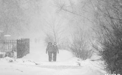 На Тулу идет мощный снегопад: в ГИБДД предупредили водителей об ухудшении погодных условий