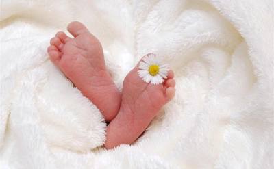 В декабре в Тульской области родились Емельян, Оливия и Каролина