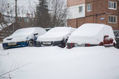 
                                            Высота снежного покрова в Туле почти в три раза превысила норму
                                    