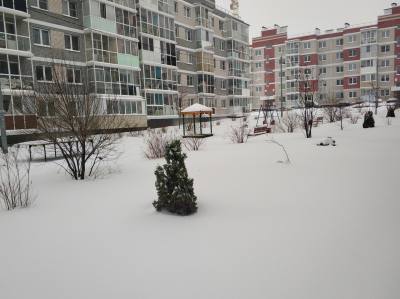 
                                            Заносы на дорогах и сугробы во дворах: Тулу засыпает снегом январская метель
                                    